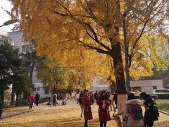 -四川大学(华西校区)