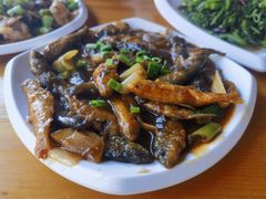-途肴·老农饭庄(百里峡店)