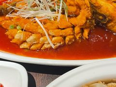 -陈麻婆豆腐(旗舰店)