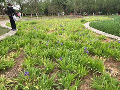 -永定河休闲森林公园