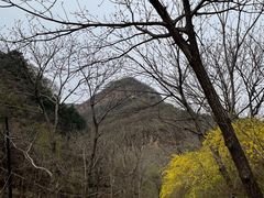 -老象峰