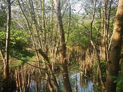 -白沙门生态公园