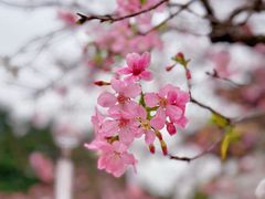 -宝墨园景区