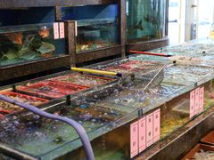 -新金盛·海鲜酒楼(盐田店)