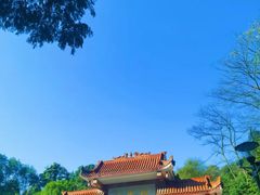 -缙云山景区