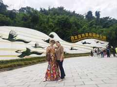 -西双版纳原始森林公园