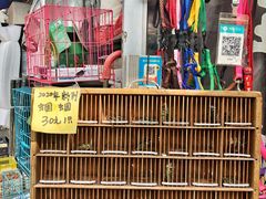 -秦美花卉(天朗·莱茵小城2期店)