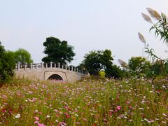 -梁鸿国家湿地公园