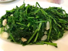 -县爷土鸡屋