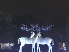 -鹭江潮餐厅•福建菜(鹭江佲家酒店)