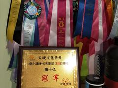 -猫十亿·布偶金渐层·曼基康矮脚猫舍(青年路店)