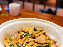 -优之名鹅城
