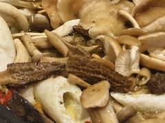 -菌之家·专业纯野生菌火锅·特色炒菌