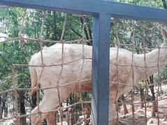 -昆明动物园