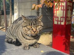 -青海宾馆