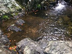 -山沟沟景区