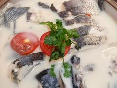 -全乐鱼馆·淳牌有机鱼直营店