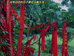 -广西壮族自治区药用植物园