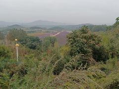 -密云玫瑰情园