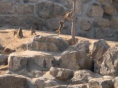 -太原动物园