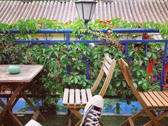 -Sirena海妖日咖夜酒