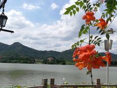 -古越人家·湖光山色