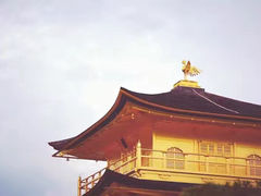 -奈良公园