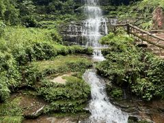-碧峰峡风景区