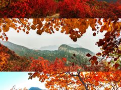 -周口店坡峰岭风景区