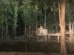 -清迈夜间动物园