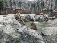 -武汉动物园