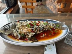 -崂山水果园农家宴(泉水鸡店)
