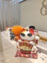 -时光畔·酷雪·痘肌
