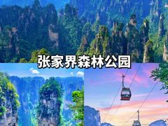 -张家界天门山国家森林公园
