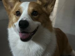 -沐沐家宠物(成寿寺店)