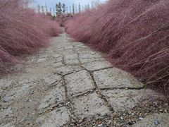 -嘉北郊野公园