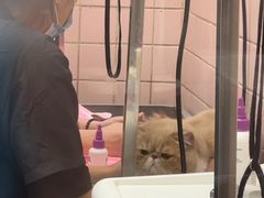 -FAELING PETS美天灵宠物(富力广场店)
