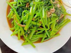 -好孕妈妈月嫂(哈尔滨总店)