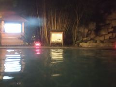 -雅安楠水阁温泉酒店