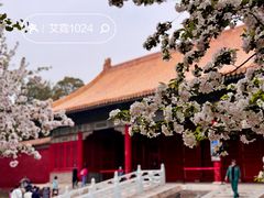 -故宫博物院(故宫)