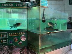 -老傅家湘潭水煮活鱼店(众一国际店)