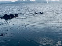 -深圳湾公园(南山区)