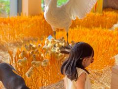 -中国天府农业博览园