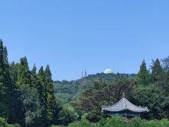-湛山寺