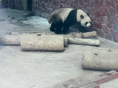 -黔灵山公园