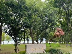 -高子水居