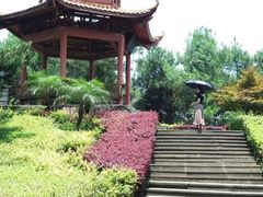 -铁山坪森林公园