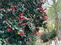 -宝岩生态观光园