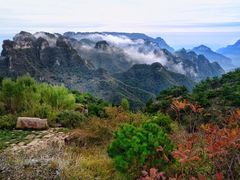 -王莽岭风景区