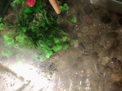 -印象江南(东栅店)